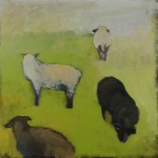 jodi sh doff  : onlythejodi : sheeples : joanna murphy