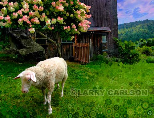 jodi sh doff  : onlythejodi : sheeples : larry carlson